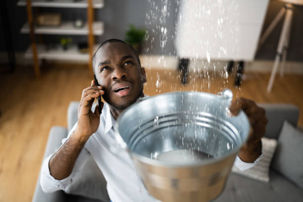 Best Carpet water damage restoration  in Fairview Heights, IL
