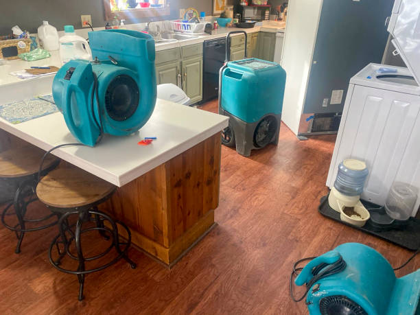 Best Sewage cleanup and water damage restoration  in Fairview Heights, IL