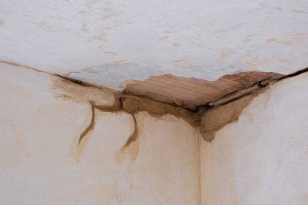  Fairview Heights, IL Water damage restoration Pros
