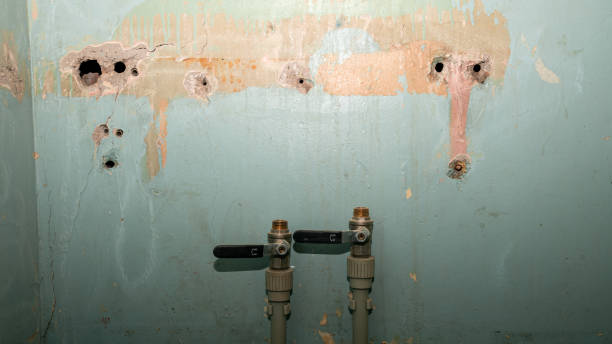 Best Emergency water damage restoration  in Fairview Heights, IL