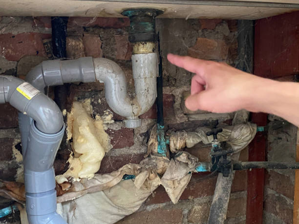 Best Water damage restoration near me  in Fairview Heights, IL