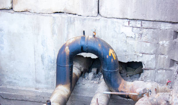 Best Flooded house restoration  in Fairview Heights, IL