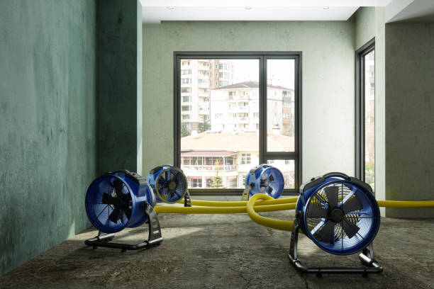 Best Residential water damage restoration  in Fairview Heights, IL